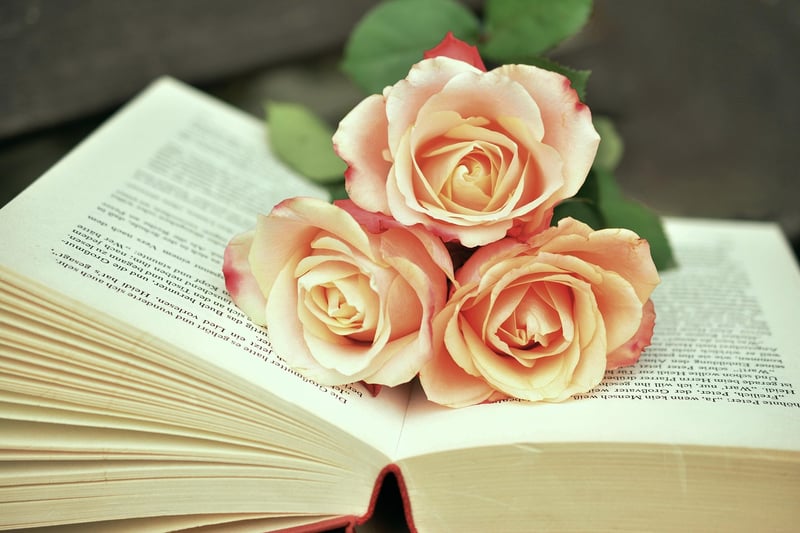 Secret Book